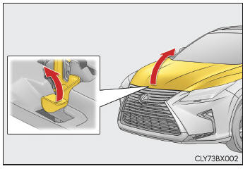 Motorhaube