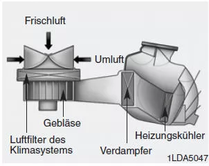 Luftfilter des Klimasystems