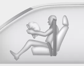 Fahrerairbag vorn (1)