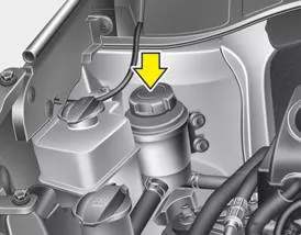 Füllstand der Servolenkungsflüssigkeit prüfen