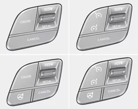 Schalter Geschwindigkeitsregelung