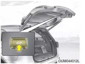 Öffnungshöhe der Servo-Heckklappe