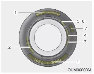 Kennzeichnungen auf den Reifenflanken