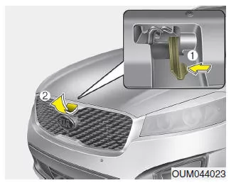 Motorhaube öffnen