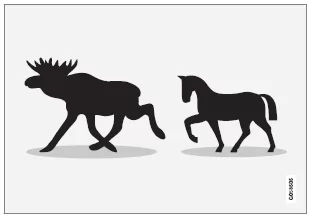 Typische Beispiele für das Erkennungsmuster von City Safety hinsichtlich größerer Tiere, die stehen oder langsam gehen und deutliche Körperumrisse haben